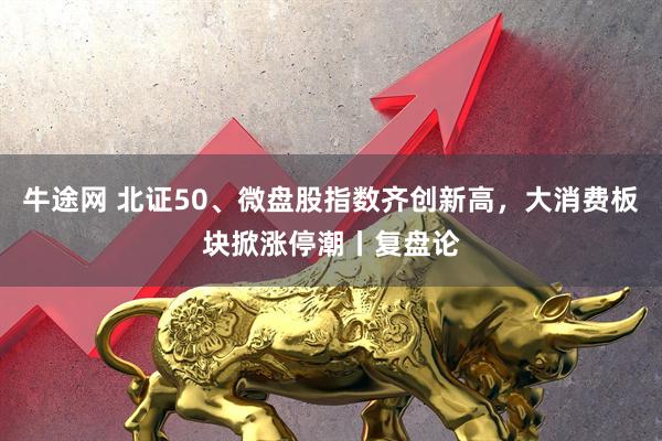 牛途网 北证50、微盘股指数齐创新高，大消费板块掀涨停潮丨复盘论