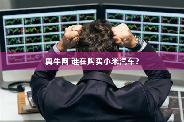 翼牛网 谁在购买小米汽车？