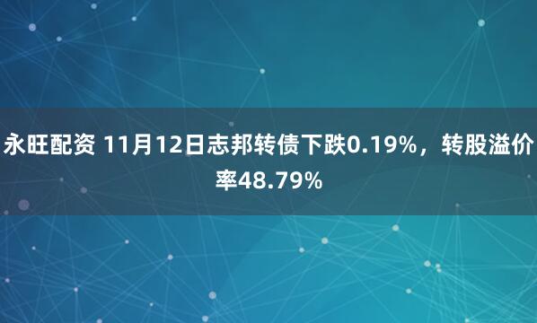 永旺配资 11月12日志邦转债下跌0.19%，转股溢价率48.79%