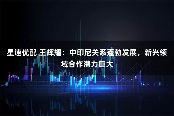 星速优配 王辉耀：中印尼关系蓬勃发展，新兴领域合作潜力巨大