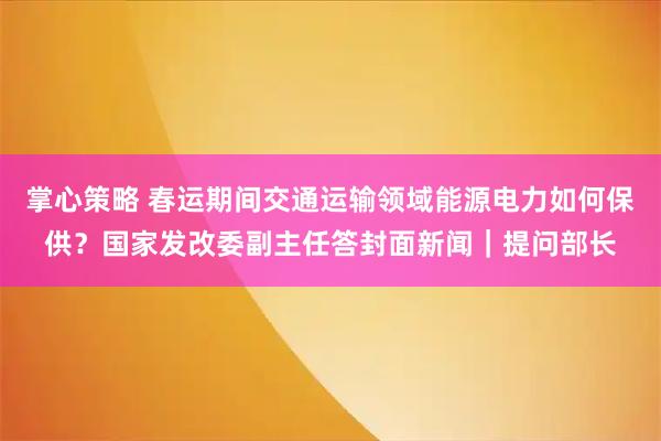 掌心策略 春运期间交通运输领域能源电力如何保供？国家发改委副主任答封面新闻｜提问部长
